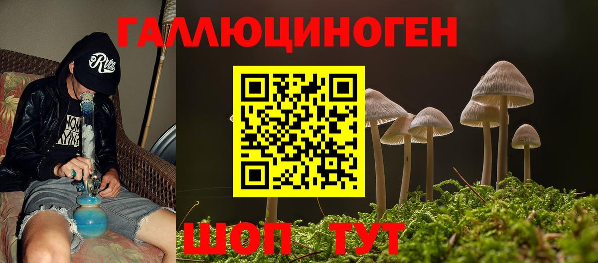 Галлюциногенные грибы прущие грибы  Вход с VPN  Карталы 